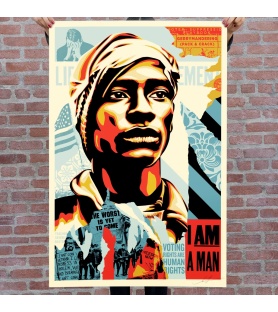 Litho.Online Shepard Fairey - Voting rights are human rights