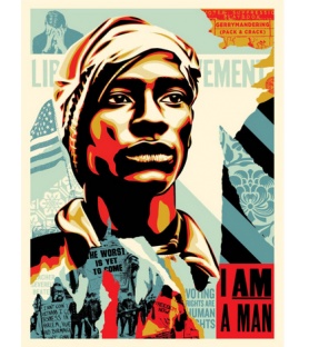 Litho.Online Shepard Fairey - Voting Rights are Human Rights
                            