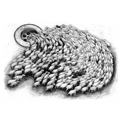 Levalet - Sheep - digigraphie signée/numérotée 33ex - 60x80 cm - 2017
                            